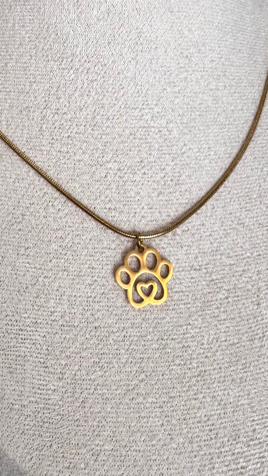 Colar com patinha em aço Inoxidável Dourado