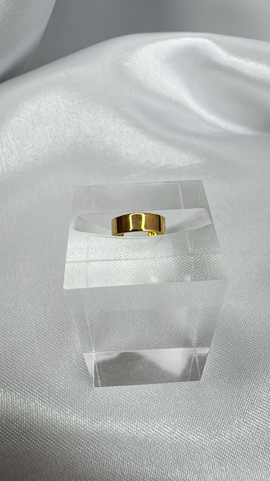 Piercing de Encaixe Liso