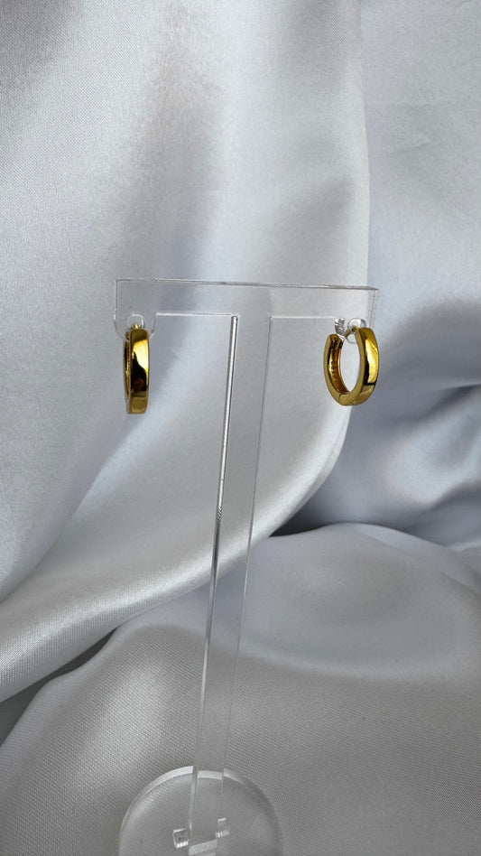 Brinco Argola Lisa Dourado